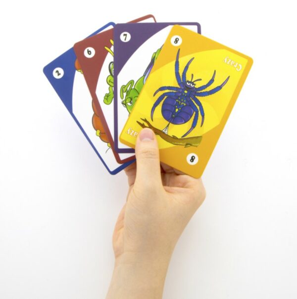 Wholesale Pricing Assorted Card Games - Flash Cards